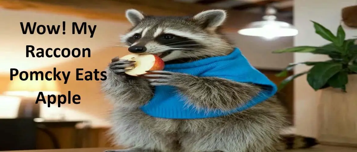 Do Raccoons Eat Apples